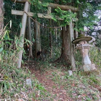 青野山王権現の鳥居⛩️をくぐって登ります