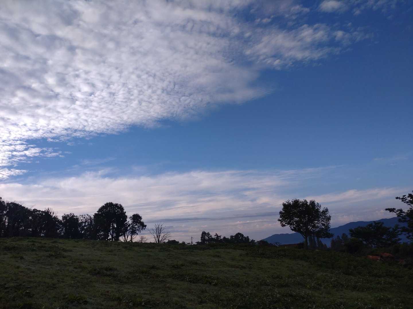 上蒜山登山口-槍ヶ峰-蒜山 往復コースの写真