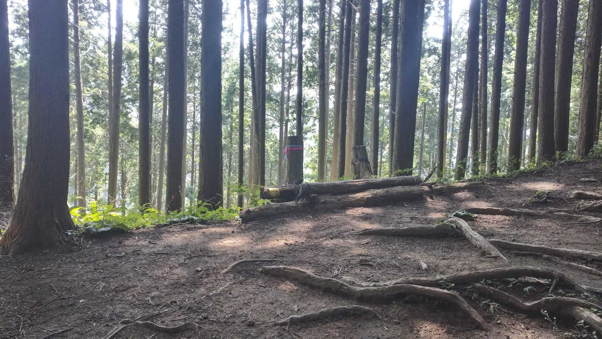 休憩〜