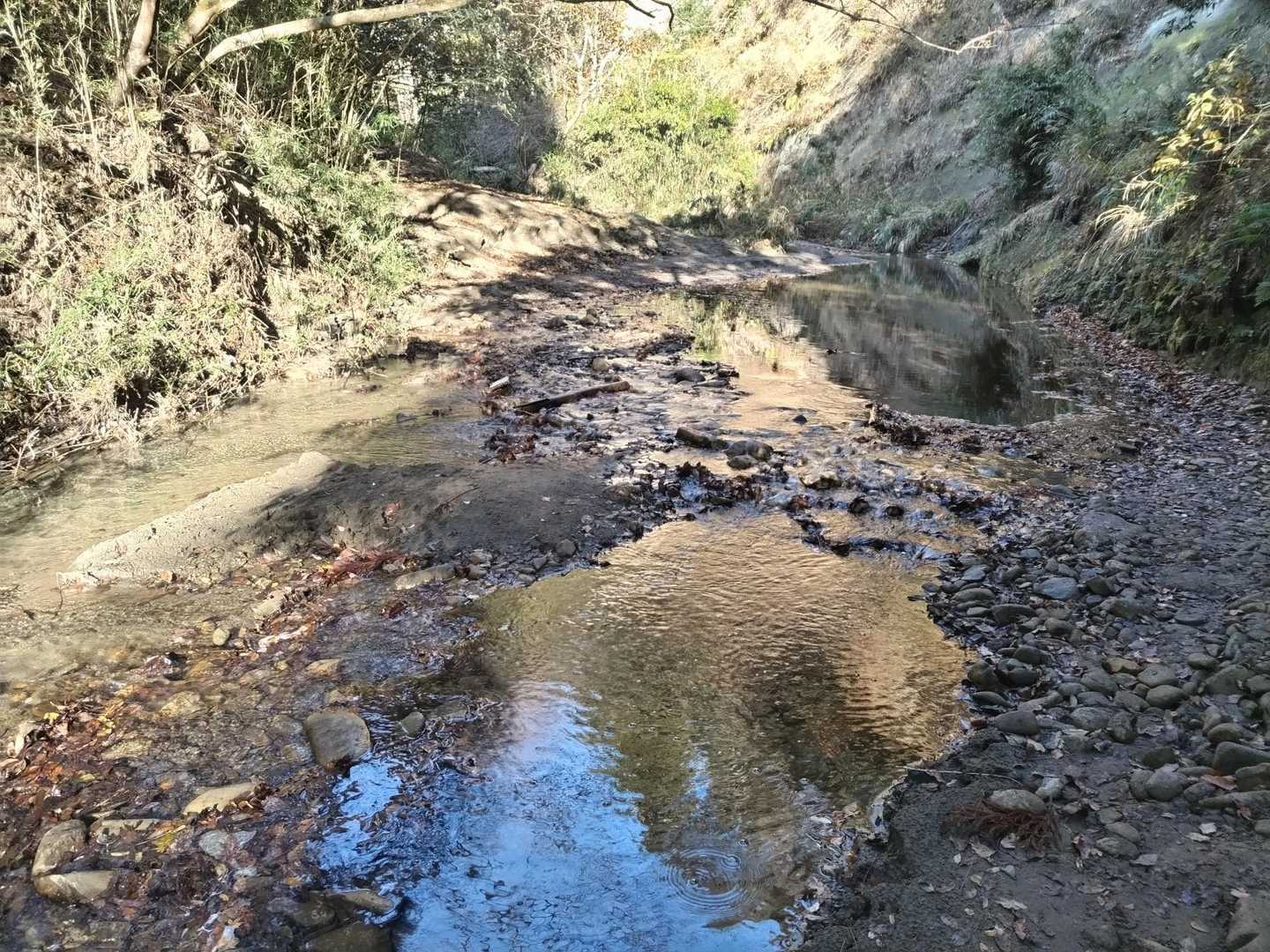 何度も渡渉します