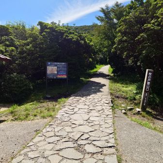 今週もココからスタート🏁