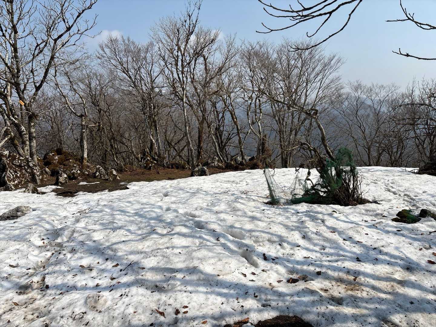 雪原