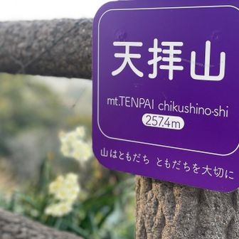 山はともだち　ともだちを大切に…

景色を良くする為なのか木がたくさん伐採されていて痛々しく感じる