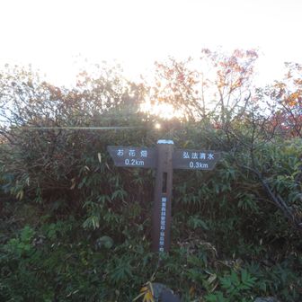 弘法清水とお花畑の分岐
登りは弘法清水へ向かいます