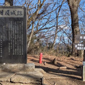 月居山に到着しました😆🙌
…本当は、三角点はもう少し上にありましたが、一旦ここを私の中では山頂としてカウントしました。