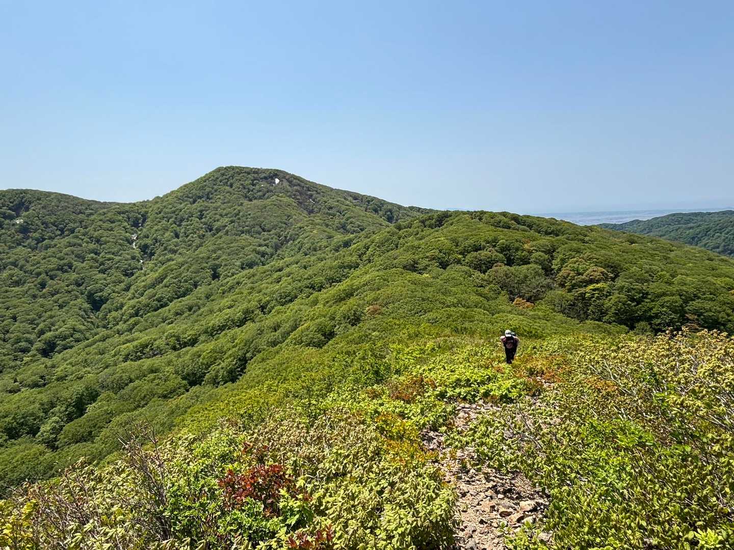 赤倉岳への登り🥵