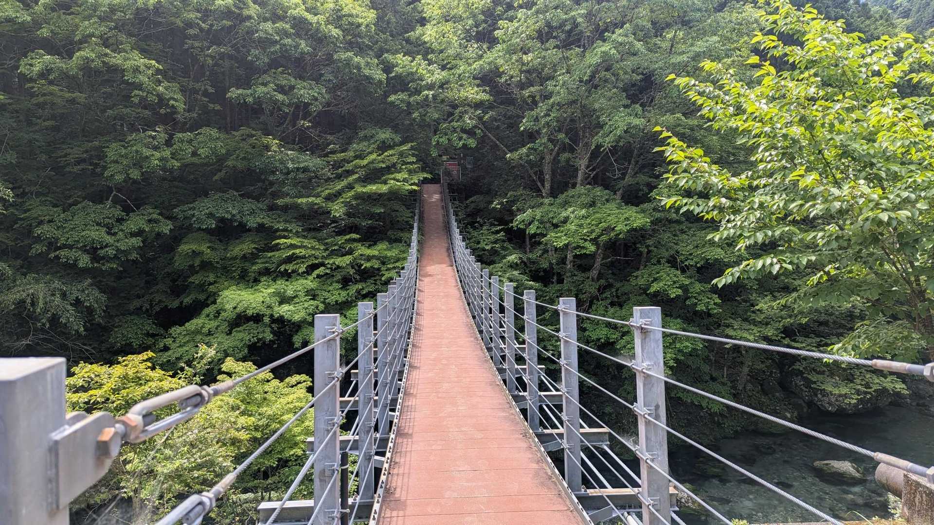 おはようございます。
思ったより良いお天気じゃん
観音峰登山口からスタート🙌