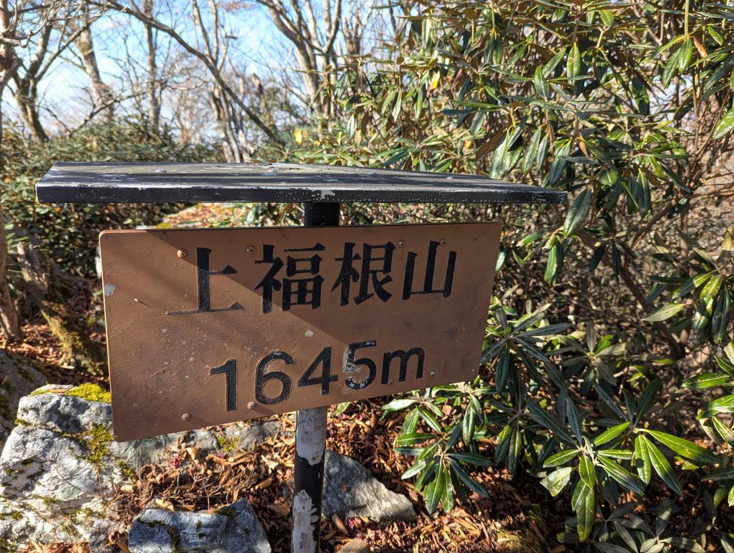 上福根山　1645ｍ
山頂からの眺望はなし
山頂付近はシャクナゲが多く
春も楽しみ