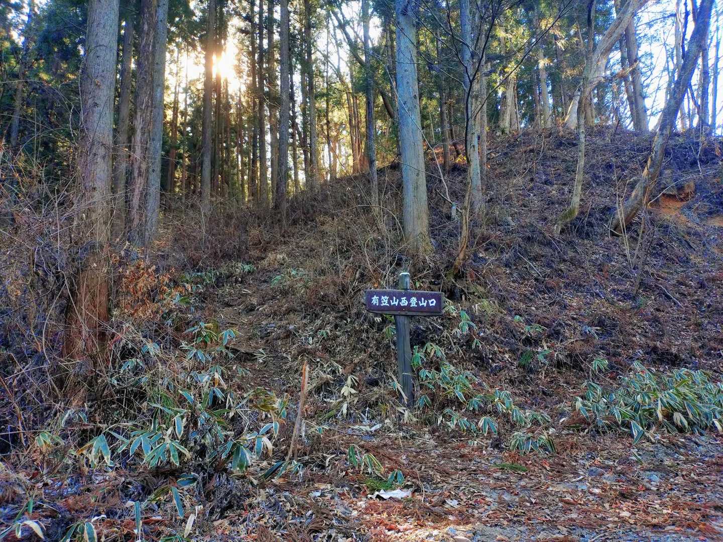 東登山口から