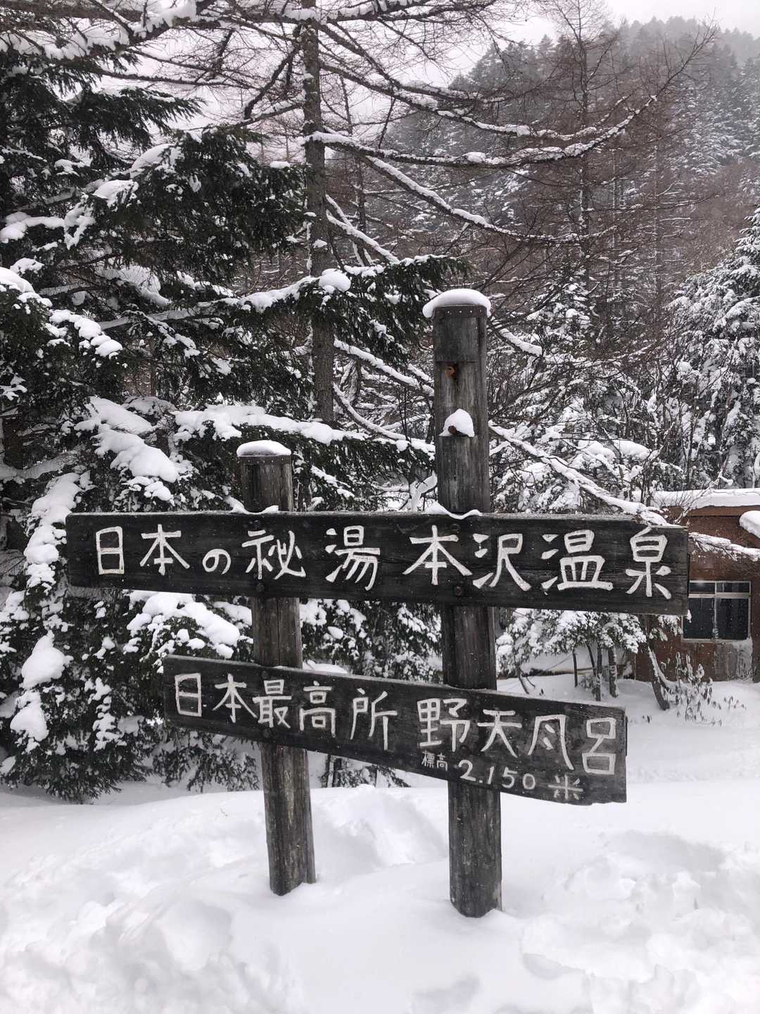 みどり池入口-夏沢峠-硫黄岳 往復コースの写真