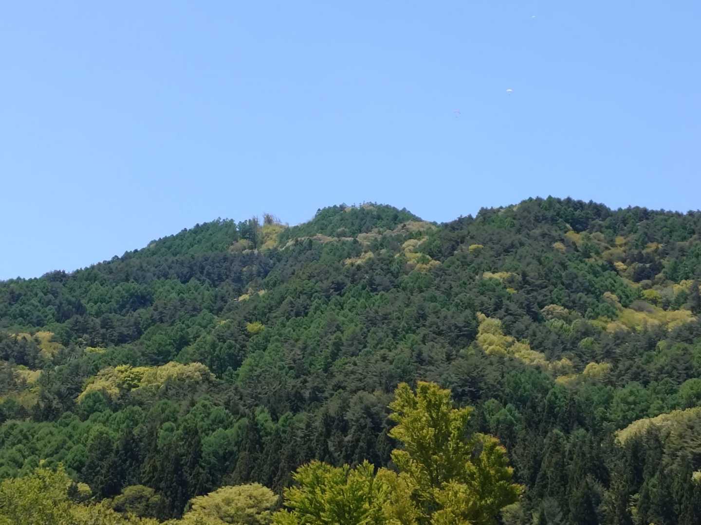 下山時、鳩吹山山頂を望む😄