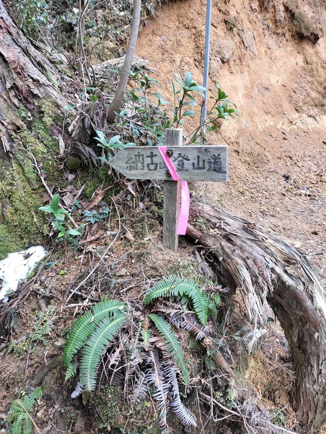 塩の道から中級コースへ合流します