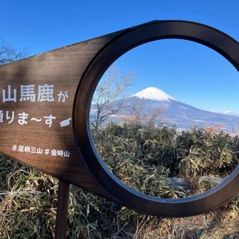 通りま〜す‼️