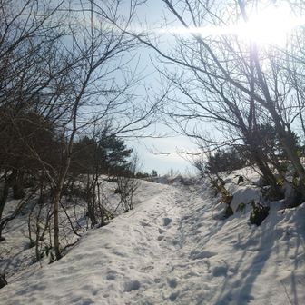 もっと積もっていた筈なのに…