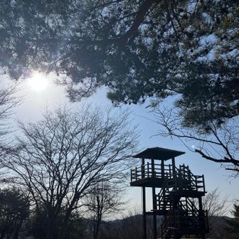 今年はじめての土岳登頂

今日の展望台からの眺めは…
筑波山も日光方面のお山も霞んでました