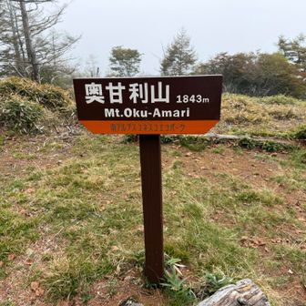 グレーピークのさんちょ🙌
結構りっぱ！その後の大西峰に驚く事に