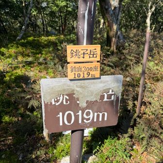 銚子岳は踏み跡不明瞭で迷いますが山頂は休憩に最適でランチ🍙して下山開始