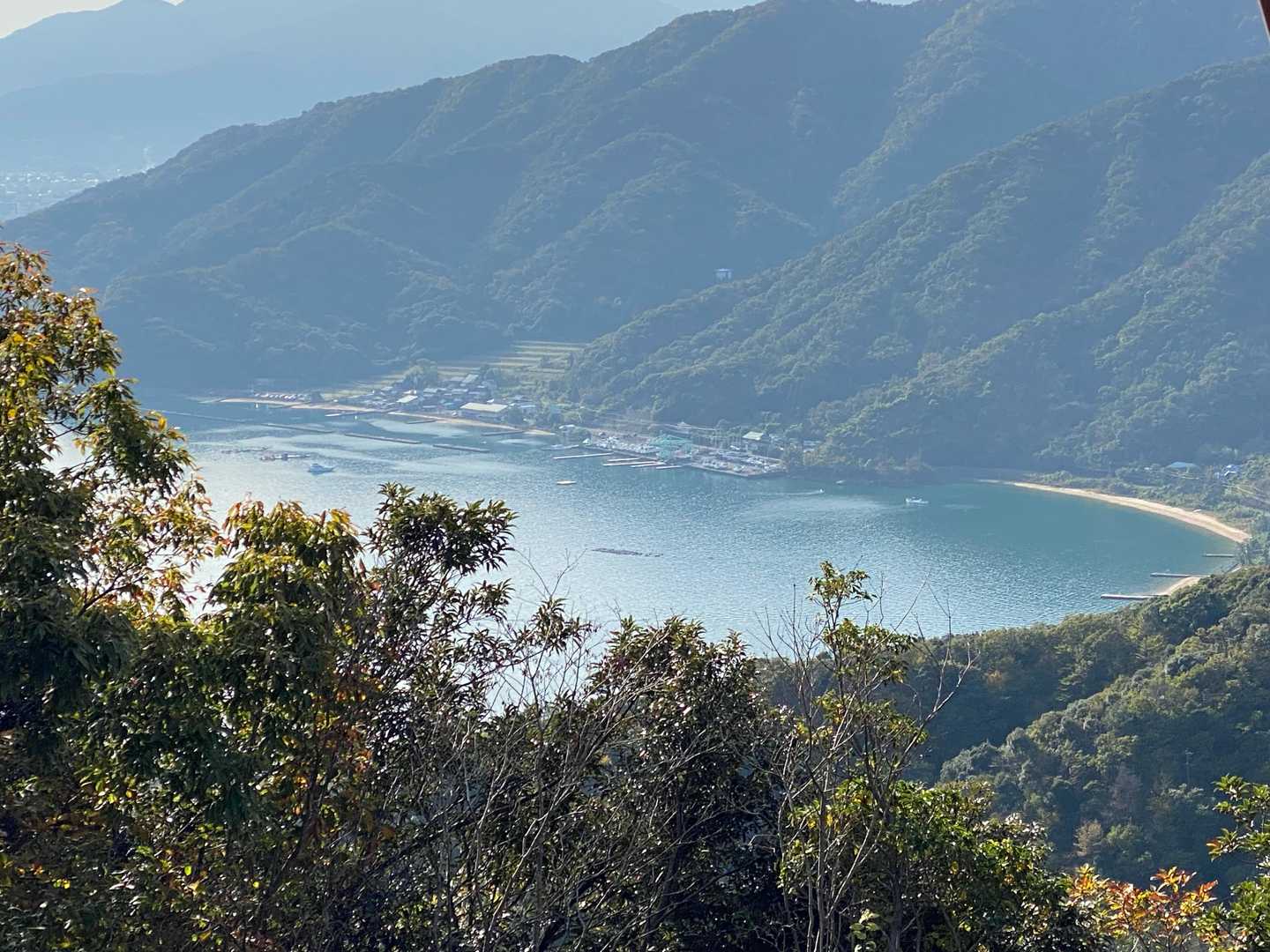 ここから海が見えます。