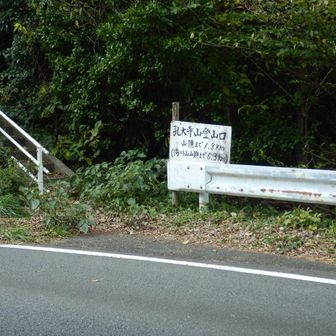 道を横断して孔大寺山へ