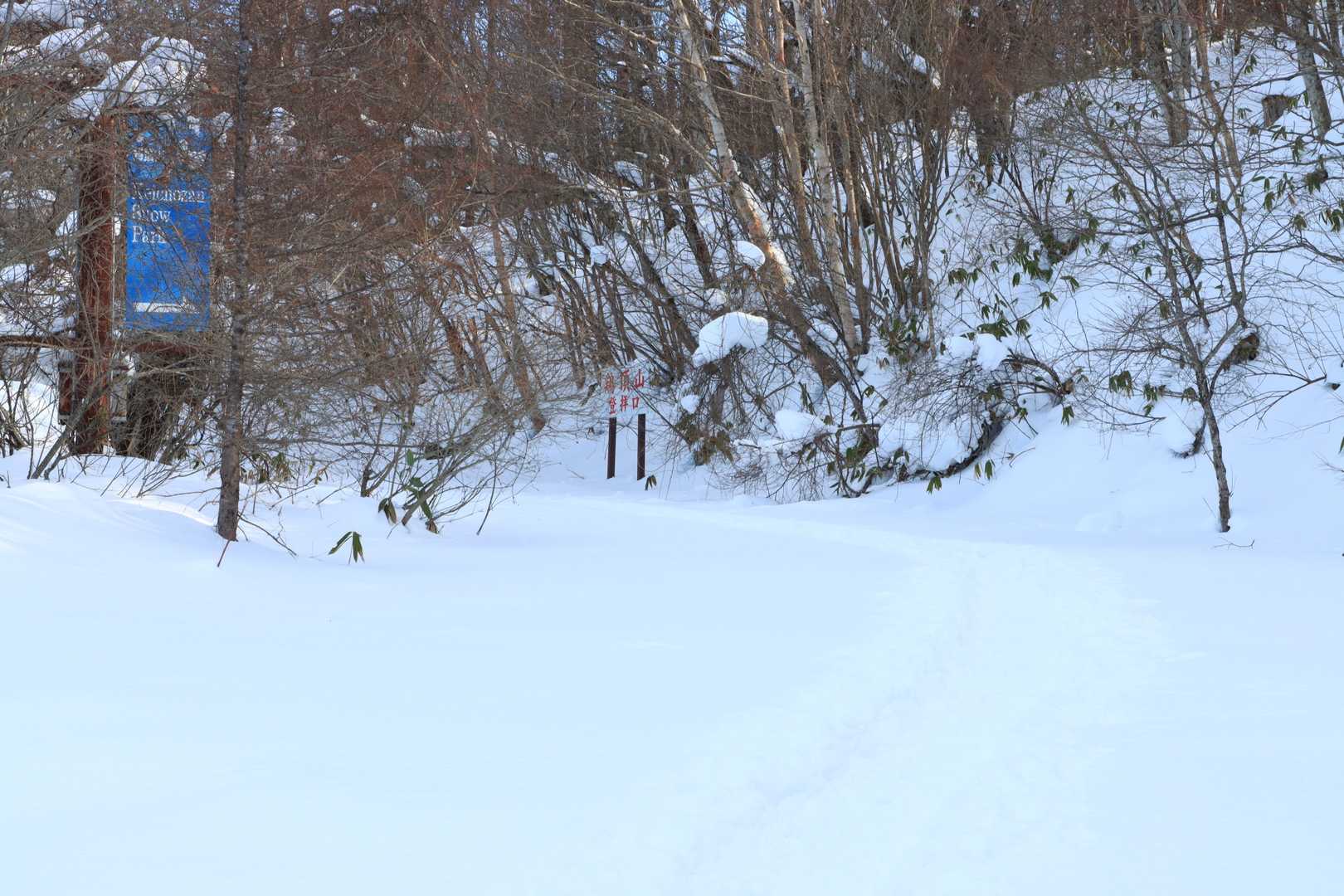 元々スキー場だったようです。
鶏頂山登拝口