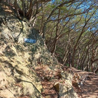 栂尾山に近づくにつれ、岩々しいところも出てくる。