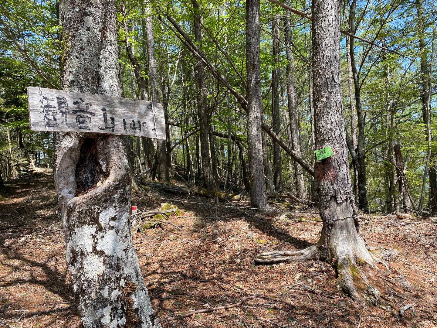 5座目の観音山⛰に。　お腹空いてる筈なのに食欲が失せ（さっきの区間が神経使いすぎました💦😅）ヘリポート戻って昼飯にしようと