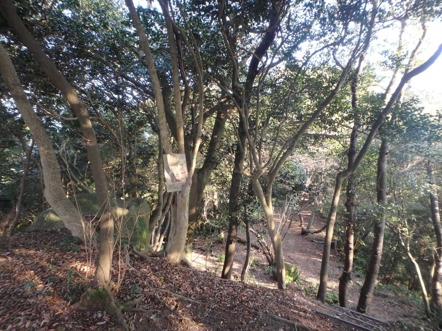 荒平山登山口-荒平山-油山 往復コースの写真