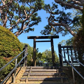 初の山頂✨