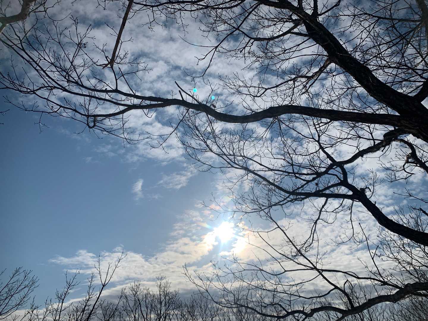 この辺りが前医王山らしいのですが、雪で埋まったのか確認できず…