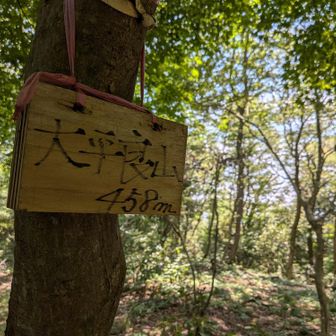 ここね、虫多いから注意だよ⚠️
何人か刺された〜