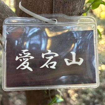 諦めたら🪧見つかった🤣💦
