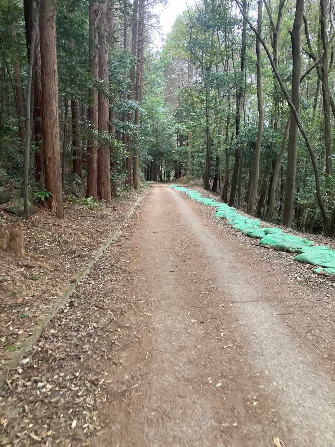 GO！ストレート
気分のいい道です♪