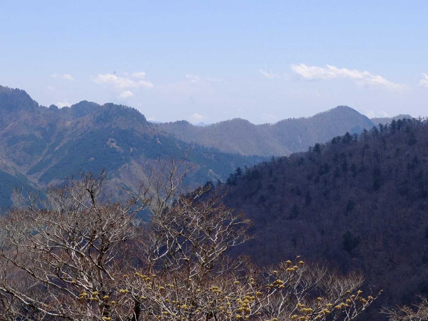 母公堂登山口-法力峠-稲村ヶ岳 周回コースの写真