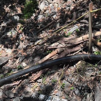 ようやく登山口に到着。疲れ果てました