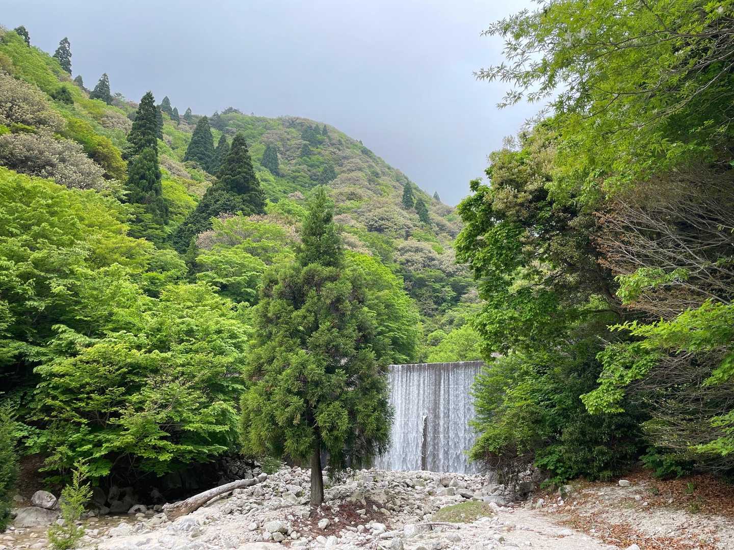 三池岳登山口-三池岳-八風峠 周回コースの写真