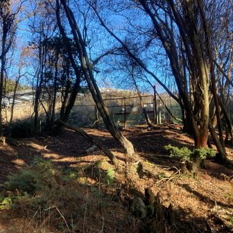 如意ヶ岳山頂には何やら施設が