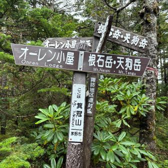 箕冠山登頂ー！　眺望なし