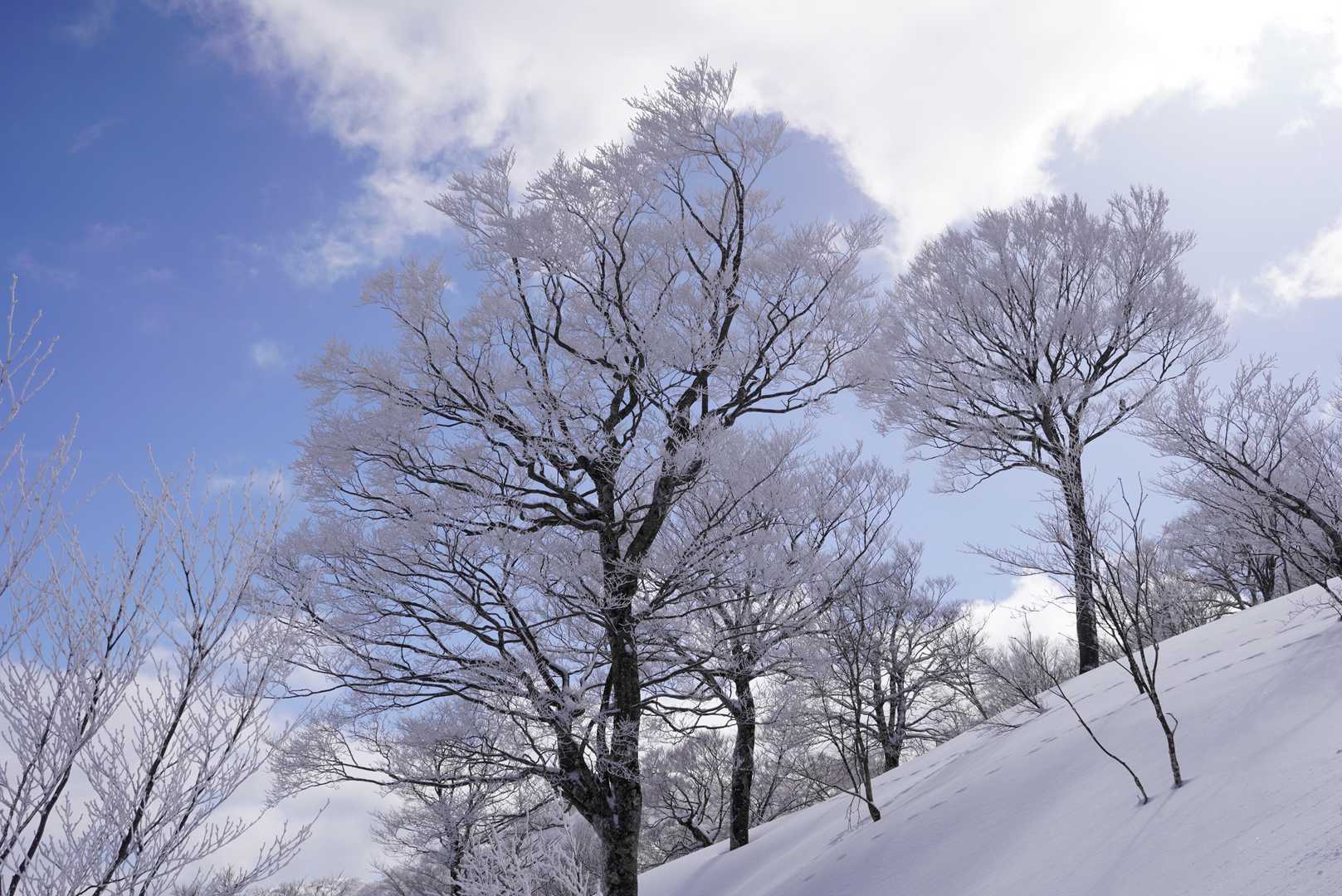 今日は良い