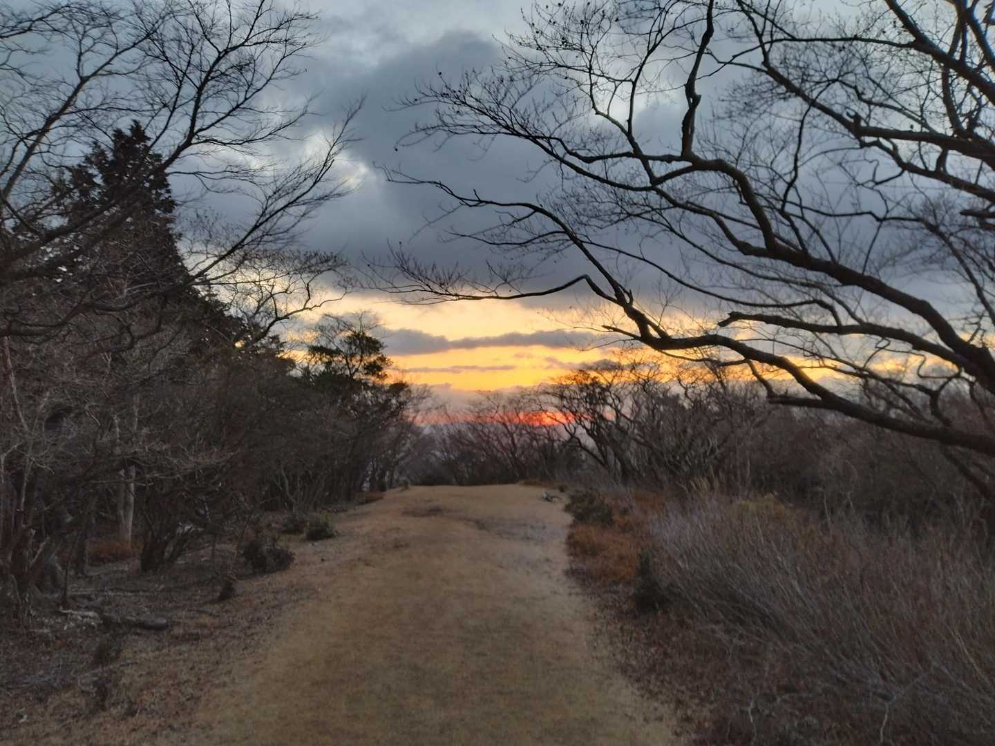 今日は残念ながら雲多めです。
日の出も見え隠れ。