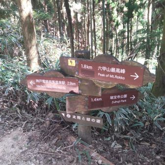 次回はここで右のコース（瑞宝寺谷コース）に行ってみます