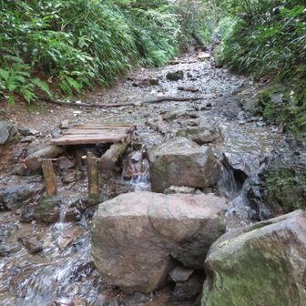 いつもより水量が多いです