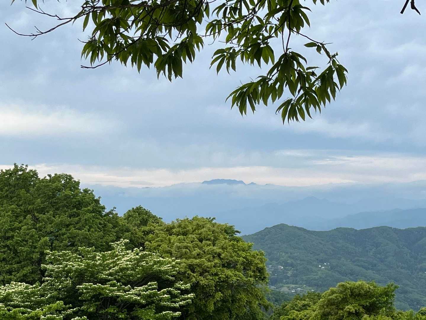 遠くに両神山。雲の上から頭がのぞいてます。