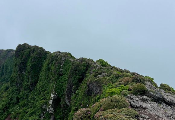 韓国岳（霧島山）とキリシマギンリョウソウ / すえともの登山データ