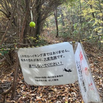 ロープを潜って振り返ったら時すでに遅し🥲