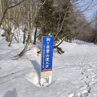 うがい清水登山口まで戻り。スキーで駐車場まで。無事下山。