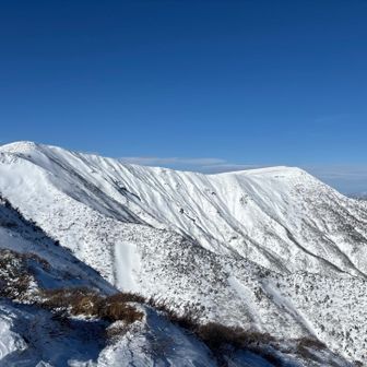 南屏風岳見えた。
まだクリームのようなメロウ感はない。