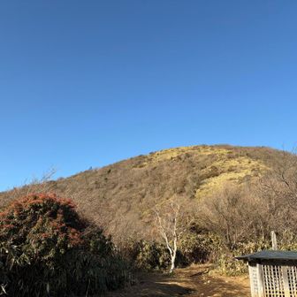 東屋まで下りてきて見返すと竜ヶ岳ブルー🩵