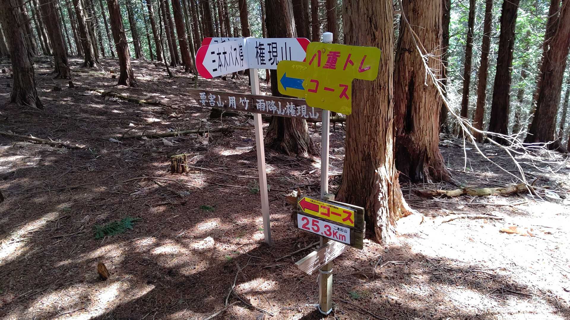 二本杉山の写真