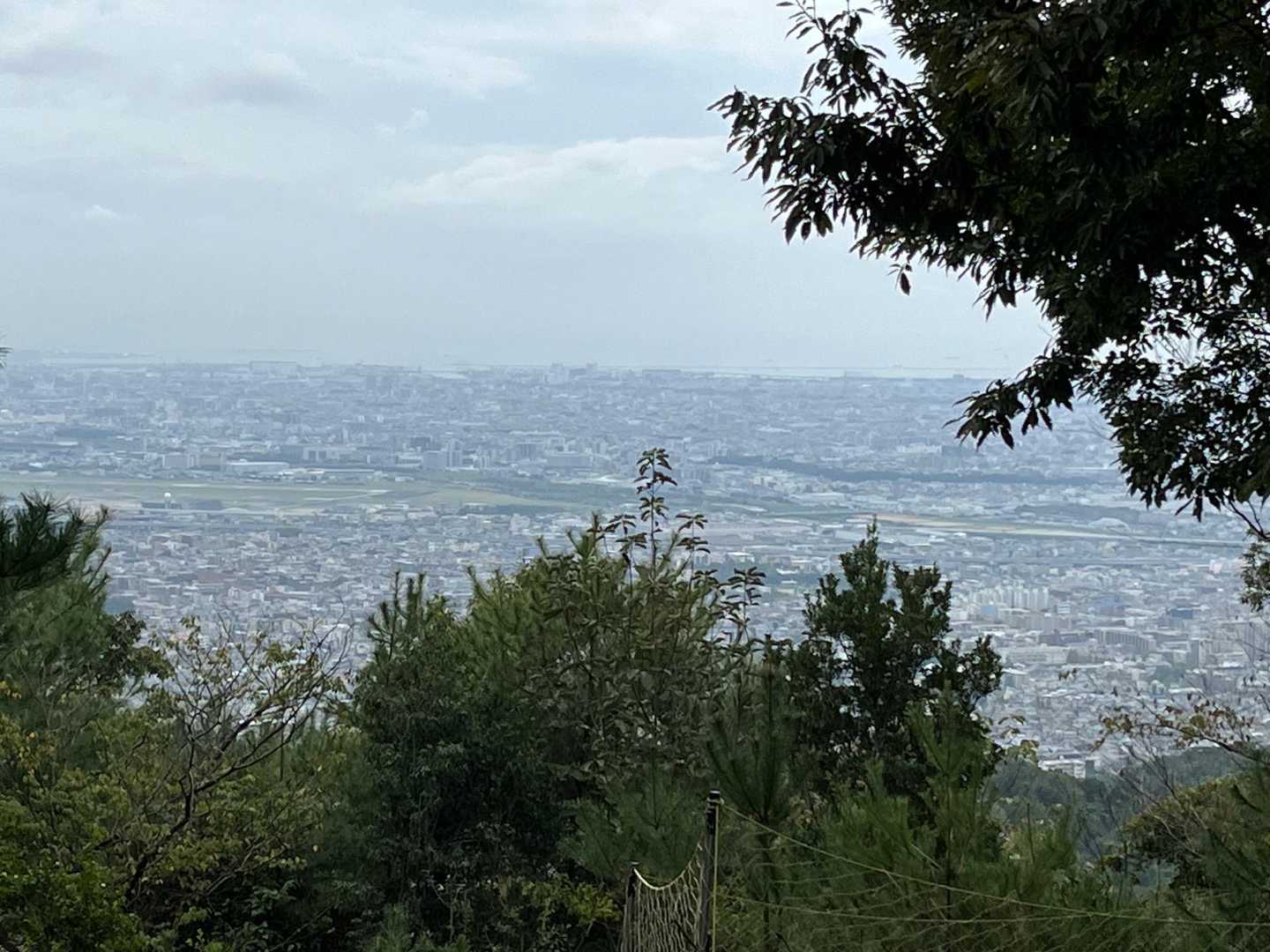 山頂より