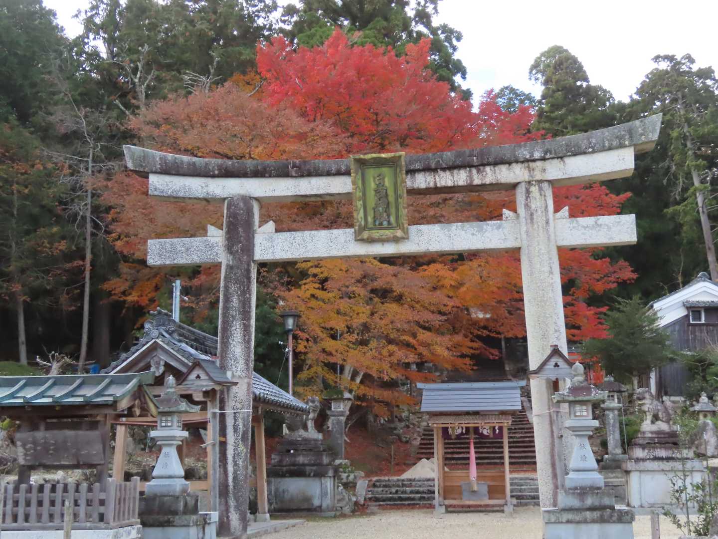 日吉神社⛩️🍁